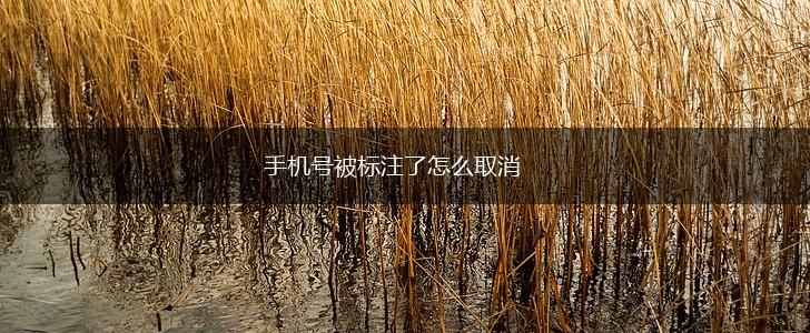 手机号被标注了怎么取消,第1张