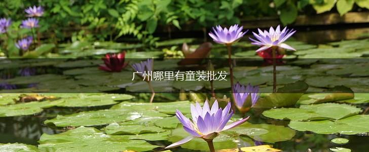 广州哪里有童装批发,第1张