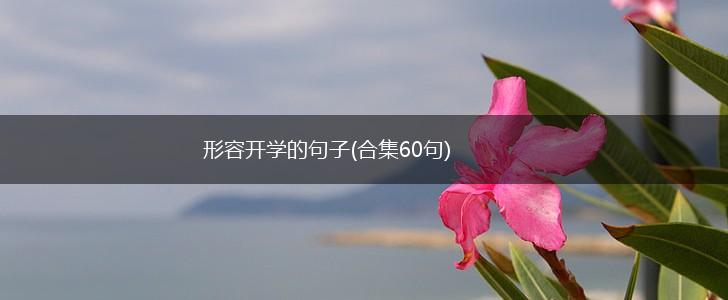 形容开学的句子(合集60句),第1张