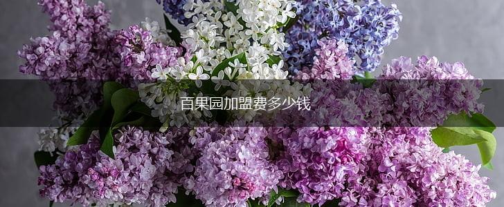 百果园加盟费多少钱,第1张