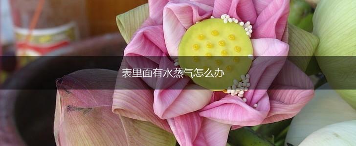 表里面有水蒸气怎么办,第1张