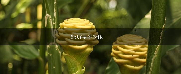6p屏幕多少钱,第1张