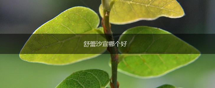 舒蕾沙宣哪个好,第1张