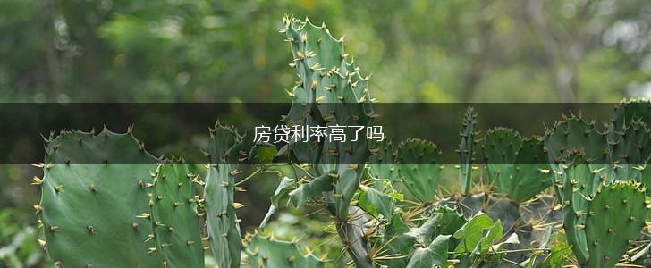 房贷利率高了吗,第1张