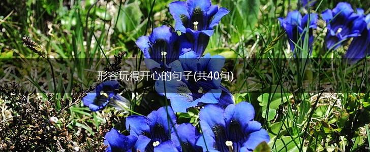 形容玩得开心的句子(共40句),第1张