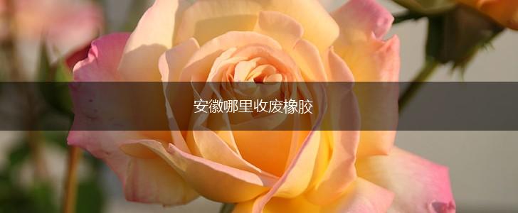 安徽哪里收废橡胶,第1张