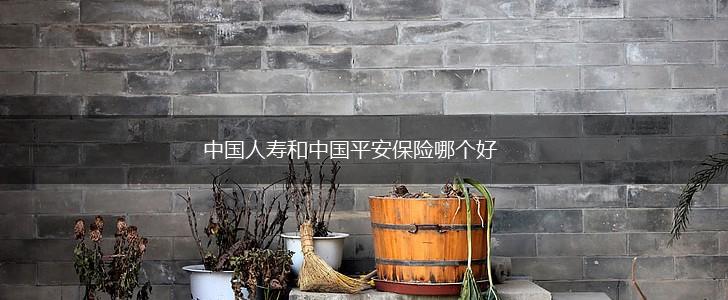 中国人寿和中国平安保险哪个好,第1张
