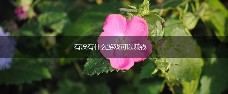 有没有什么游戏可以赚钱,第1张