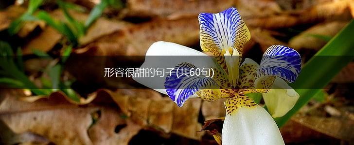 形容很甜的句子(共60句),第1张