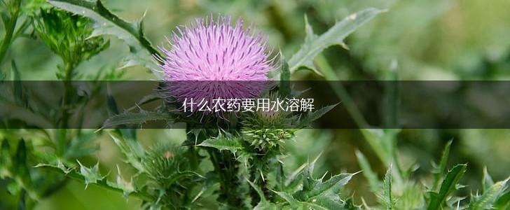 什么农药要用水溶解,第1张