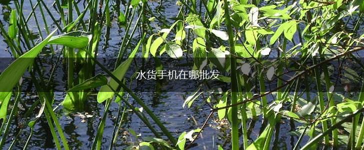 水货手机在哪批发,第1张