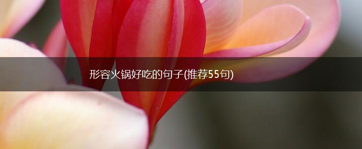 形容火锅好吃的句子(推荐55句),第1张