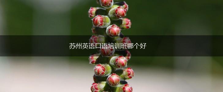 苏州英语口语培训班哪个好,第1张