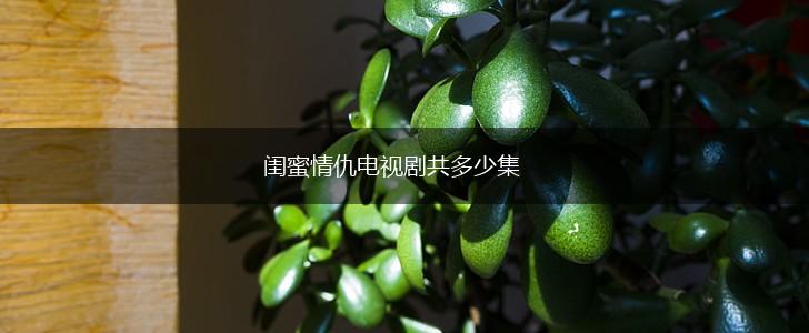 闺蜜情仇电视剧共多少集,第1张