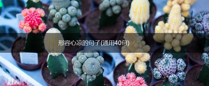 形容心凉的句子(通用40句),第1张