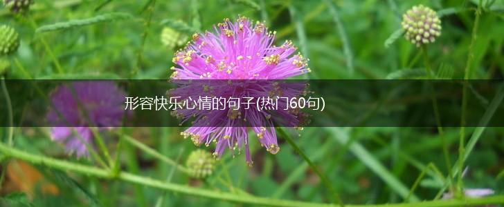 形容快乐心情的句子(热门60句),第1张