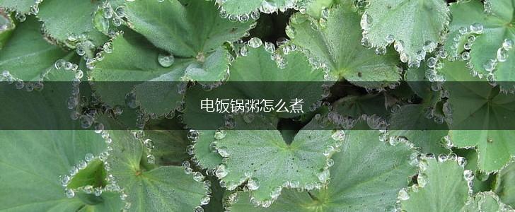电饭锅粥怎么煮,第1张