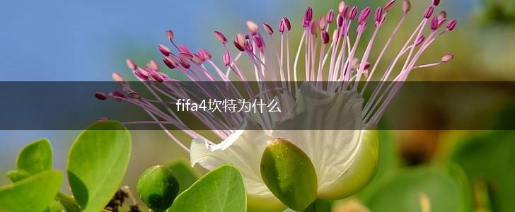 fifa4坎特为什么,第1张