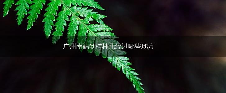 广州南站到桂林北经过哪些地方,第1张