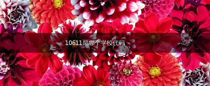 10611是哪个学校代码,第1张
