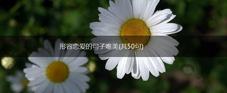 形容恋爱的句子唯美(共50句),第1张
