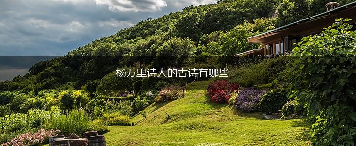 杨万里诗人的古诗有哪些,第1张