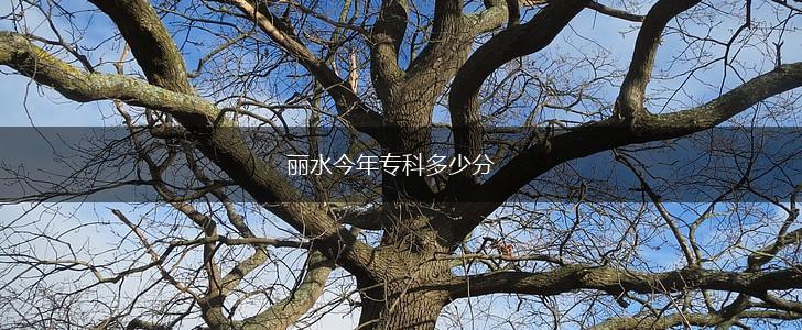 丽水今年专科多少分,第1张