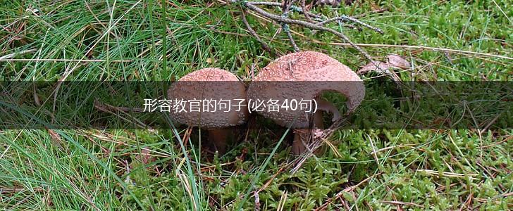 形容教官的句子(必备40句),第1张