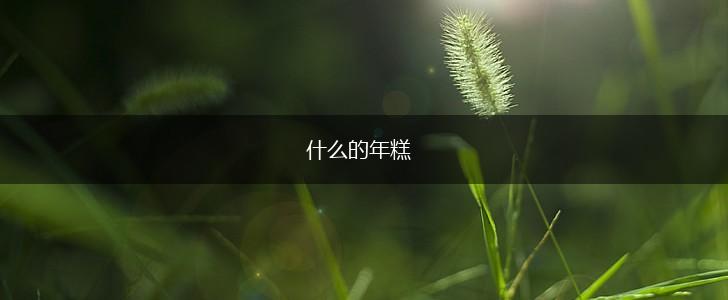 什么的年糕,第1张