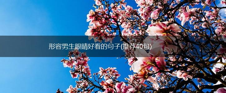 形容男生眼睛好看的句子(推荐40句),第1张