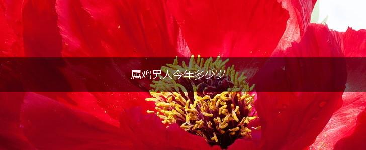 属鸡男人今年多少岁,第1张