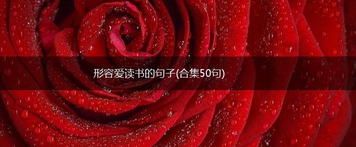 形容爱读书的句子(合集50句),第1张
