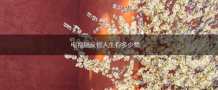 电视剧反转人生有多少集,第1张