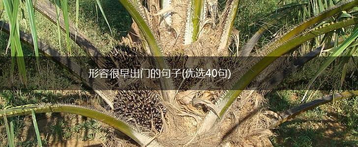 形容很早出门的句子(优选40句),第1张