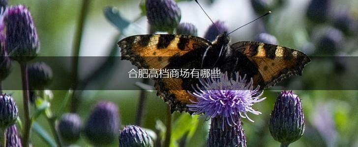 合肥高档商场有哪些,第1张