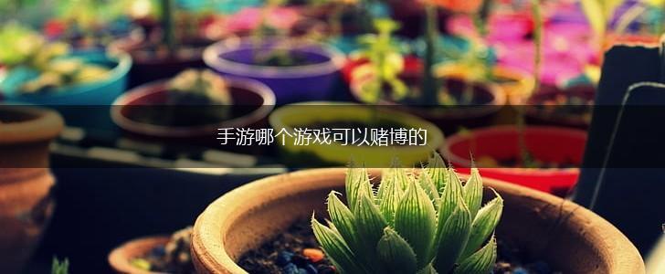 手游哪个游戏可以赌博的,第1张