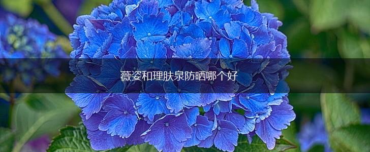 薇姿和理肤泉防晒哪个好,第1张