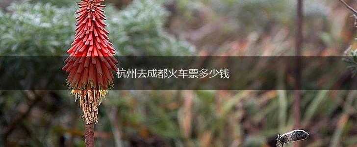 杭州去成都火车票多少钱,第1张