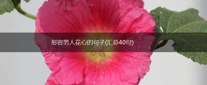 形容男人花心的句子(汇总40句),第1张