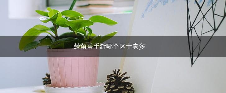 楚留香手游哪个区土豪多,第1张