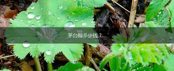 茅台醇多少钱？,第1张
