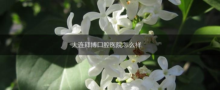 大连拜博口腔医院怎么样,第1张