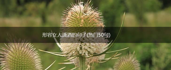 形容女人潇洒的句子(热门50句),第1张