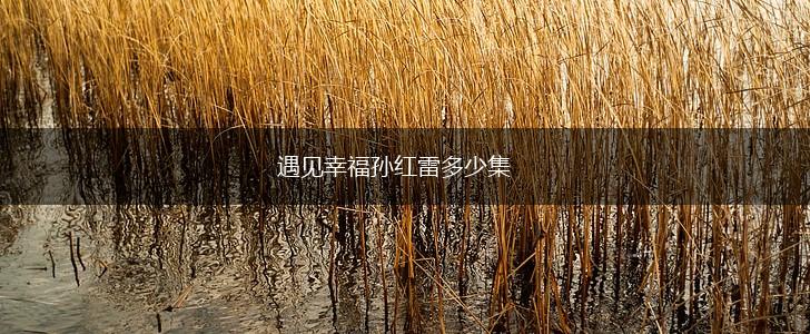 遇见幸福孙红雷多少集,第1张