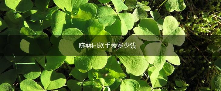 陈赫同款手表多少钱,第1张