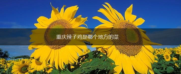 重庆辣子鸡是哪个地方的菜,第1张
