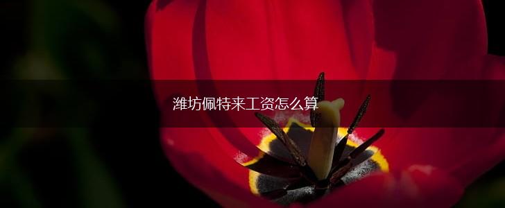 潍坊佩特来工资怎么算,第1张
