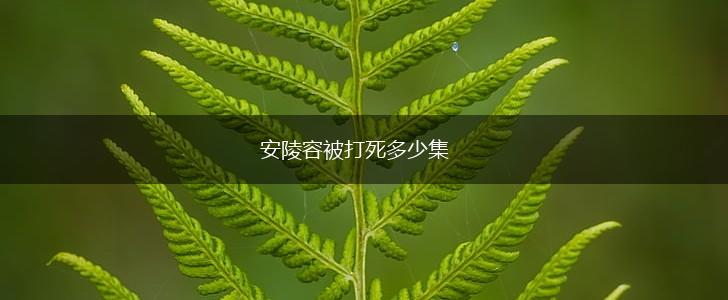 安陵容被打死多少集,第1张