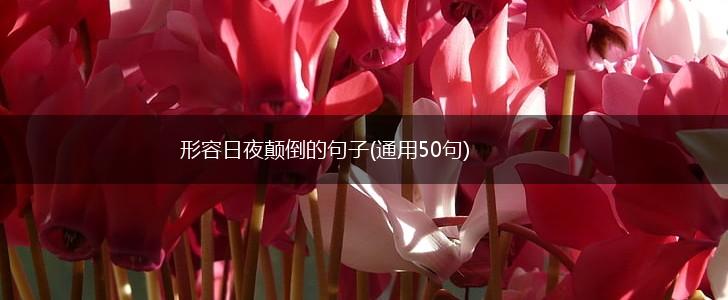 形容日夜颠倒的句子(通用50句),第1张