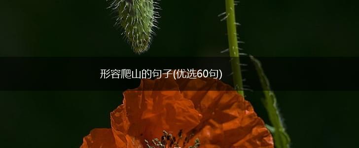 形容爬山的句子(优选60句),第1张